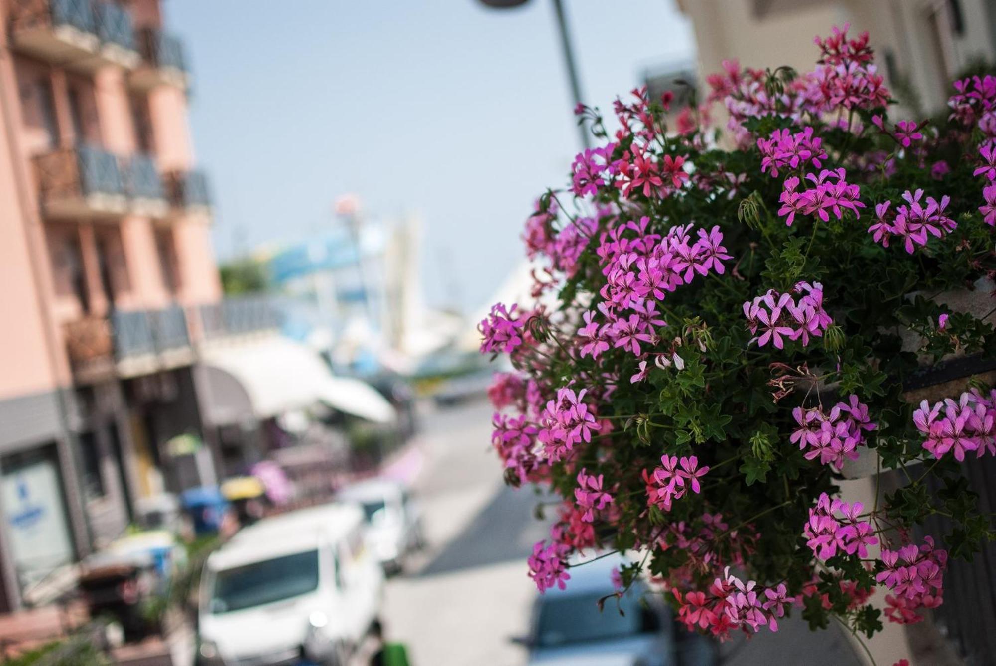 Hotel Villa Dei Gerani Rimini Ngoại thất bức ảnh